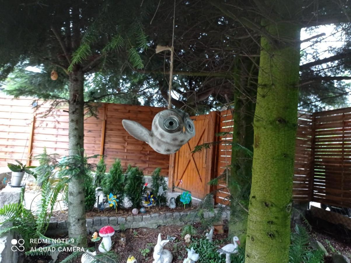 Apartamenty Sowianka Ludwikowice Kłodzkie Exterior foto